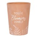 Terracotta Plant Pot - You're Blooming Lovely