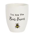 Ceramic Plant Pot - You Are the Bees Knees