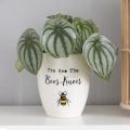 Ceramic Plant Pot - You Are the Bees Knees