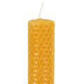 Beeswax Candles x 3