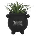 Cauldron Terracotta Plant Pot