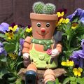 Terracotta Planter -  Pot Man 