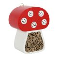 Mushroom-Shaped Insect House
