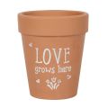 Terracotta Plant Pot - Love Grows Here