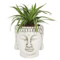 Terracotta Planter - Buddha Head, White